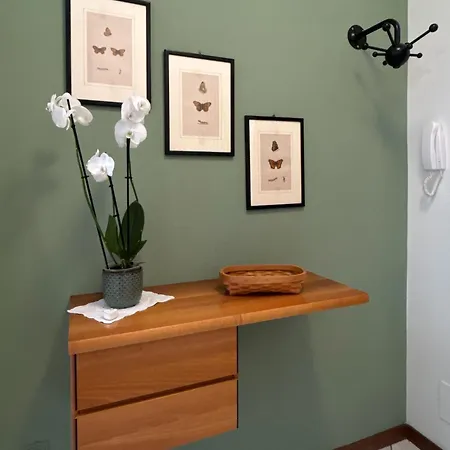 Domus Olea Casa de Férias *